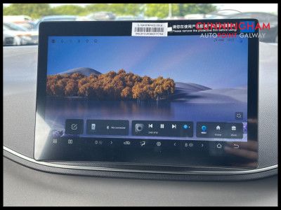 2026 BYD Dolphin Surf