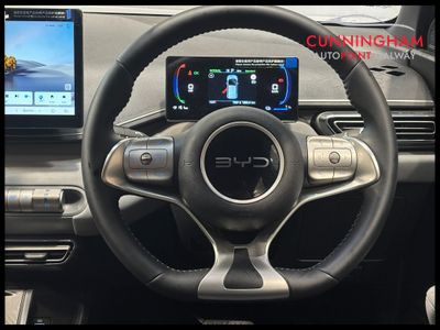 2026 BYD Dolphin Surf