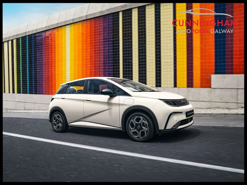 2025 BYD Dolphin