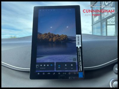 2026 BYD Dolphin Surf