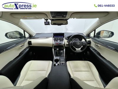 2020 Lexus NX