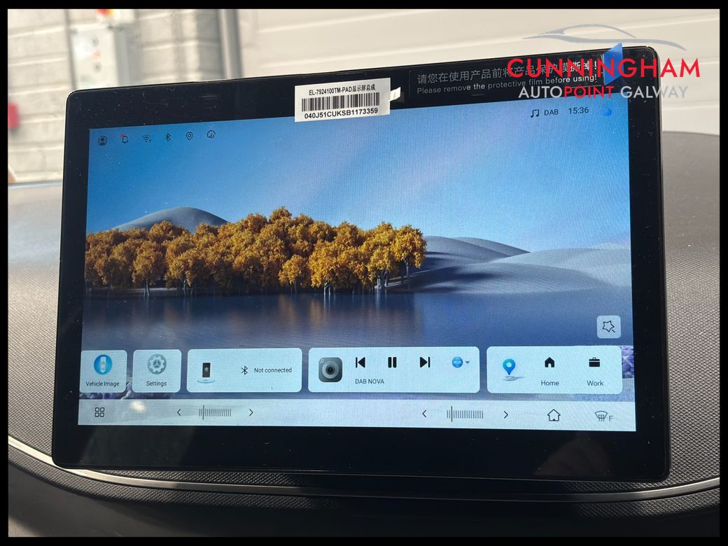 2026 BYD Dolphin Surf