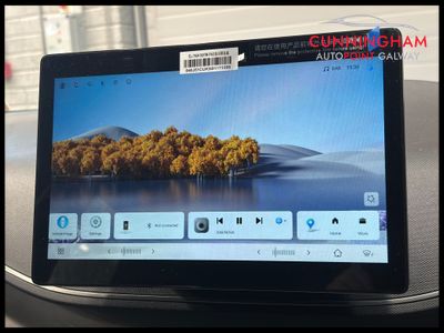 2026 BYD Dolphin Surf