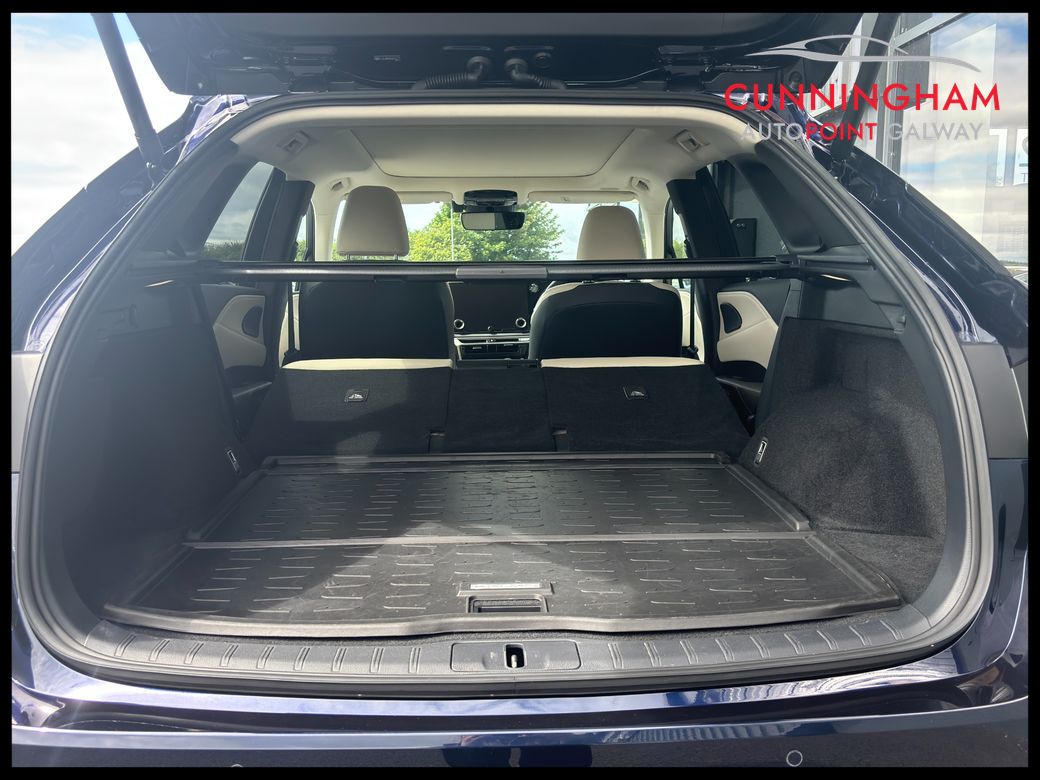 2024 Lexus RX450h+