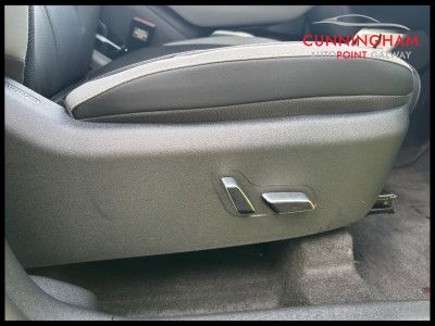 2026 BYD Dolphin Surf