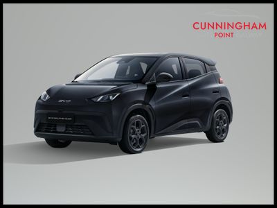 2026 BYD Dolphin Surf