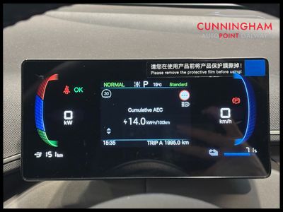 2026 BYD Dolphin Surf