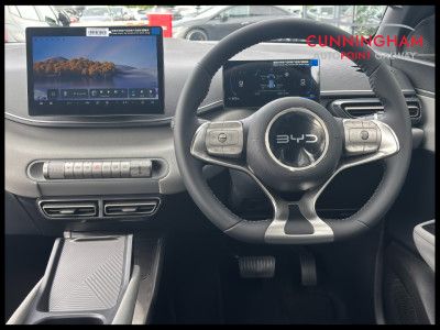 2026 BYD Dolphin Surf