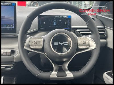 2026 BYD Dolphin Surf