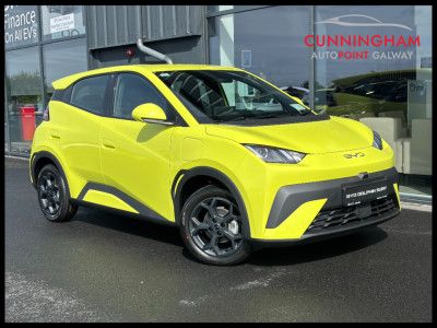 2026 BYD Dolphin Surf