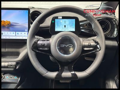 2026 BYD Dolphin