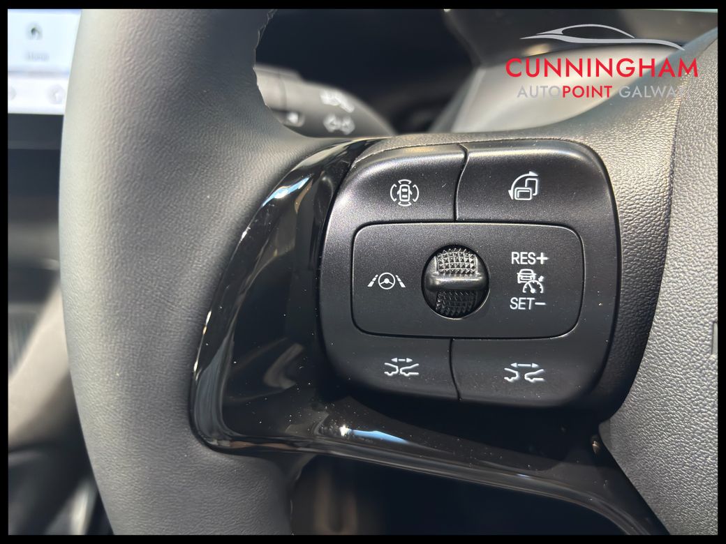 2026 BYD Dolphin