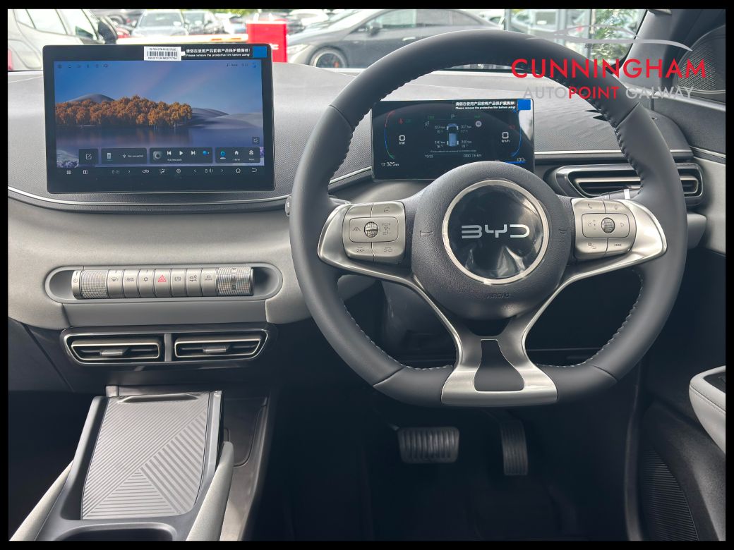 2026 BYD Dolphin Surf