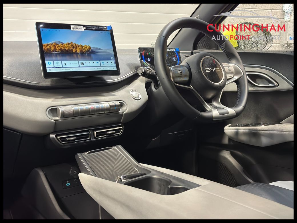 2026 BYD Dolphin Surf