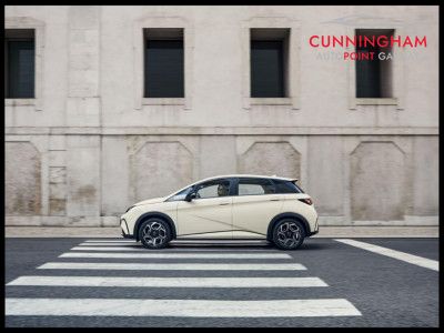 2025 BYD Dolphin