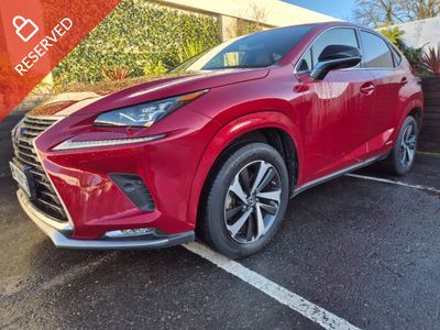 2020 Lexus NX 300h