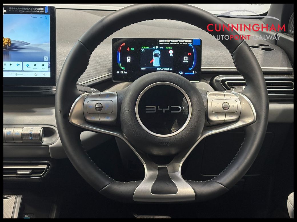2026 BYD Dolphin Surf