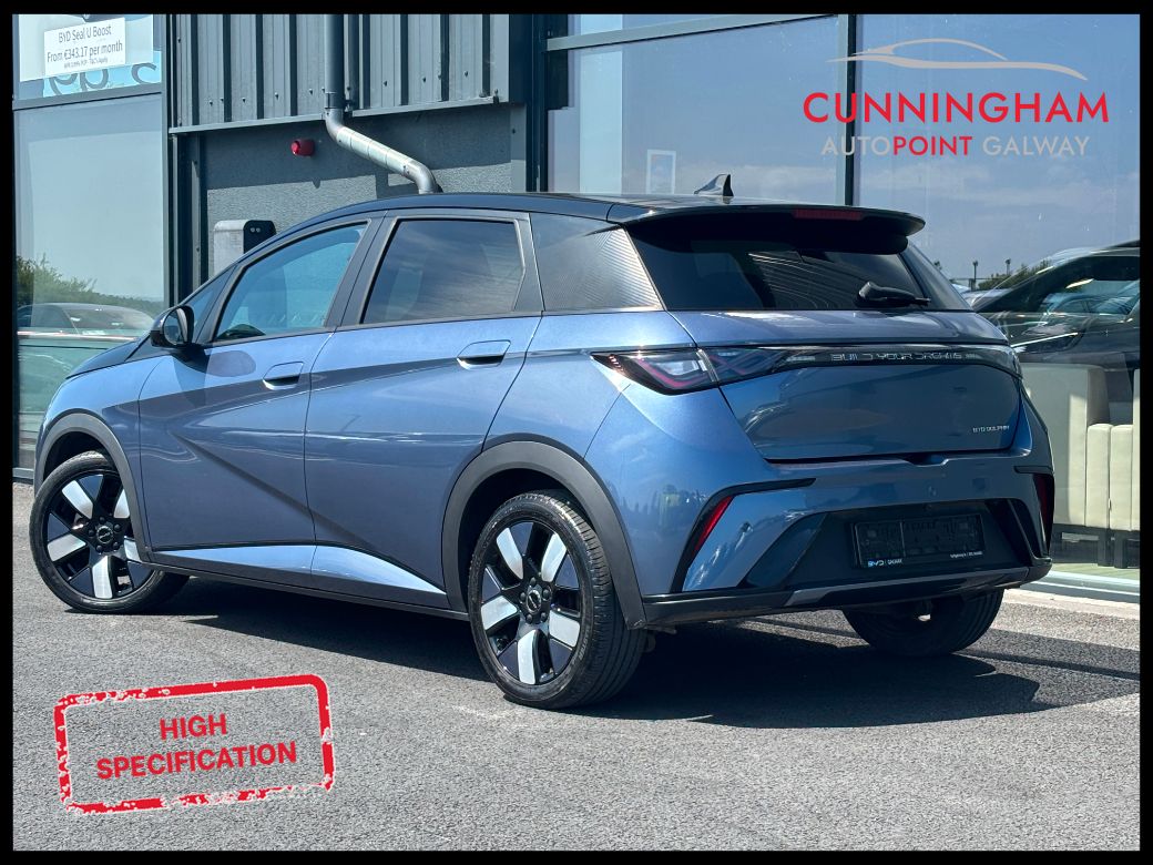 2025 BYD Dolphin