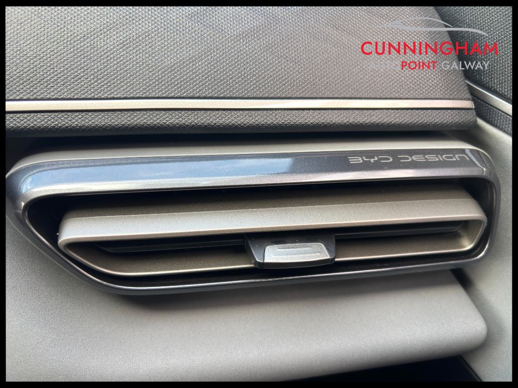 2026 BYD Dolphin Surf