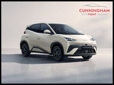 2026 BYD Dolphin Surf
