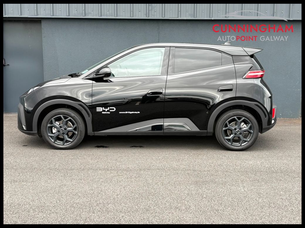 2025 BYD Dolphin Surf