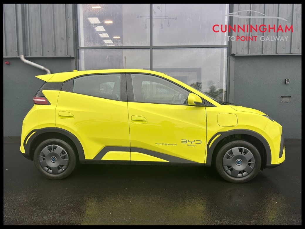 2026 BYD Dolphin Surf