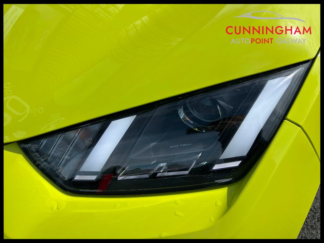 2026 BYD Dolphin Surf