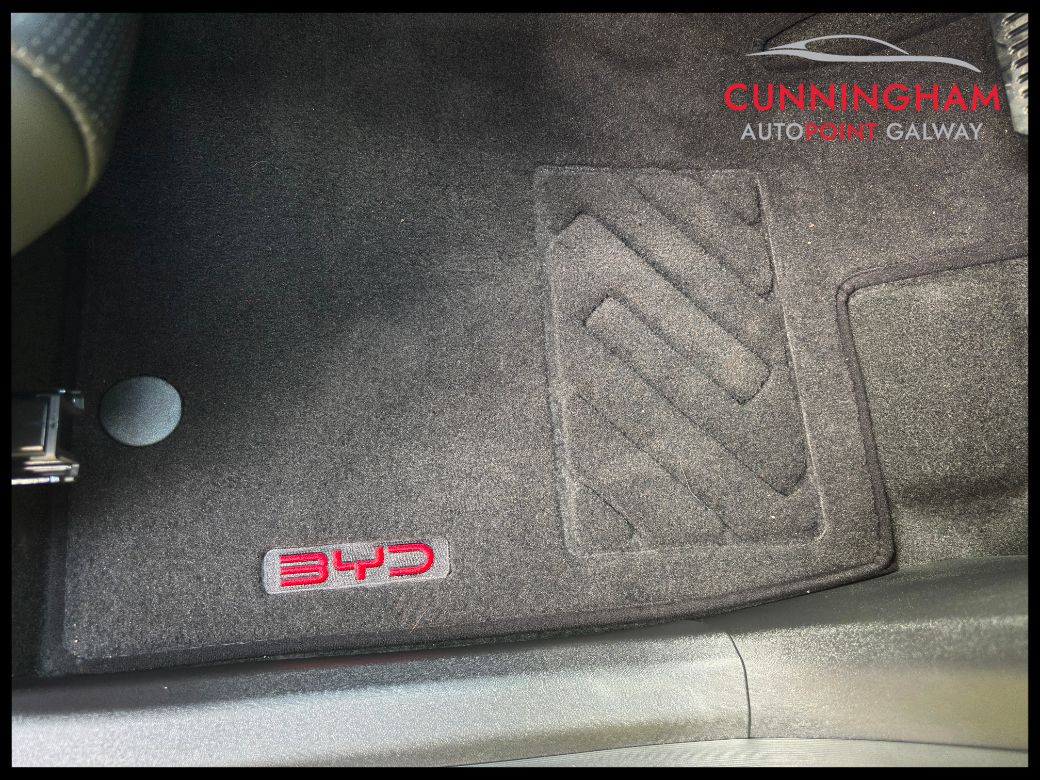 2026 BYD Dolphin Surf