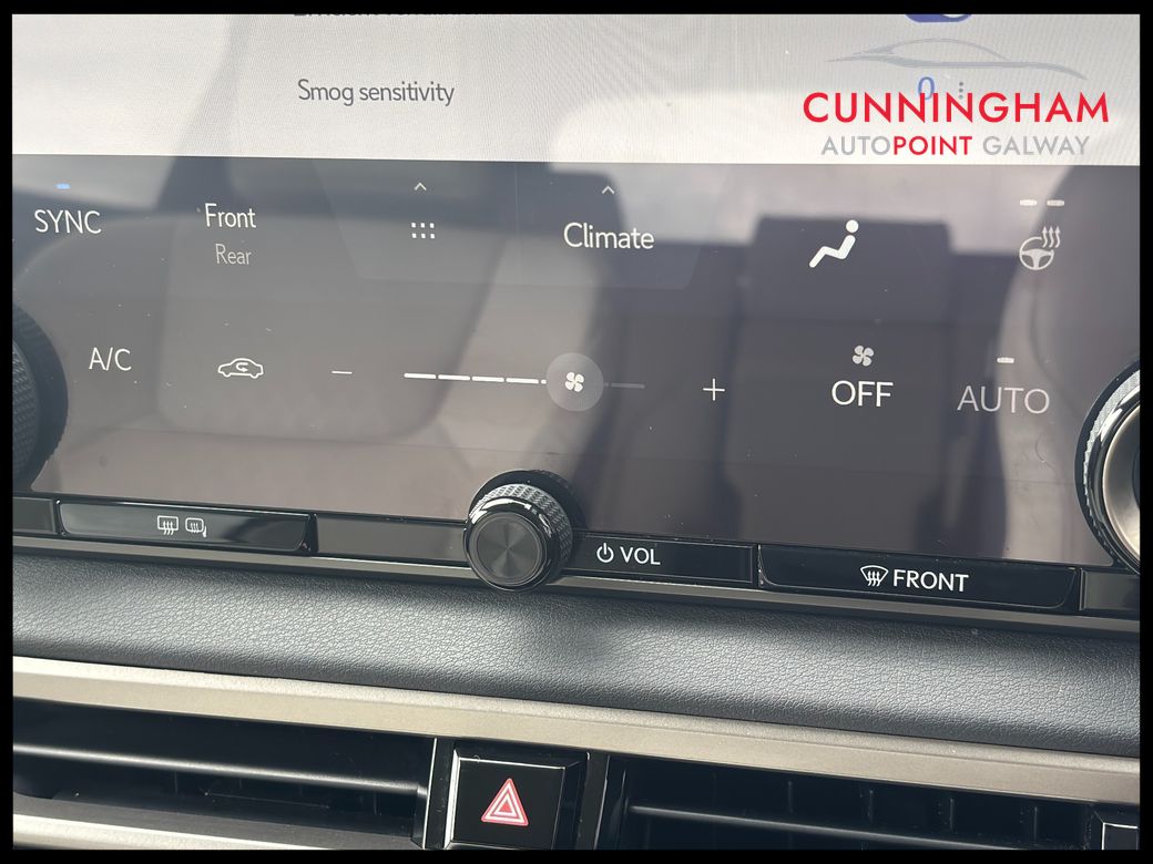 2024 Lexus RX450h+