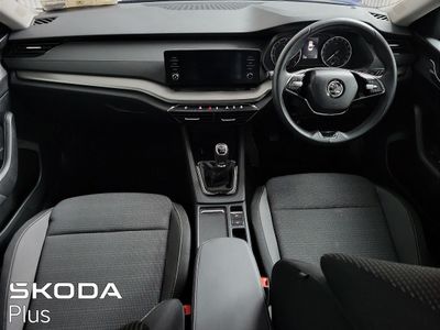 2023 Skoda Octavia