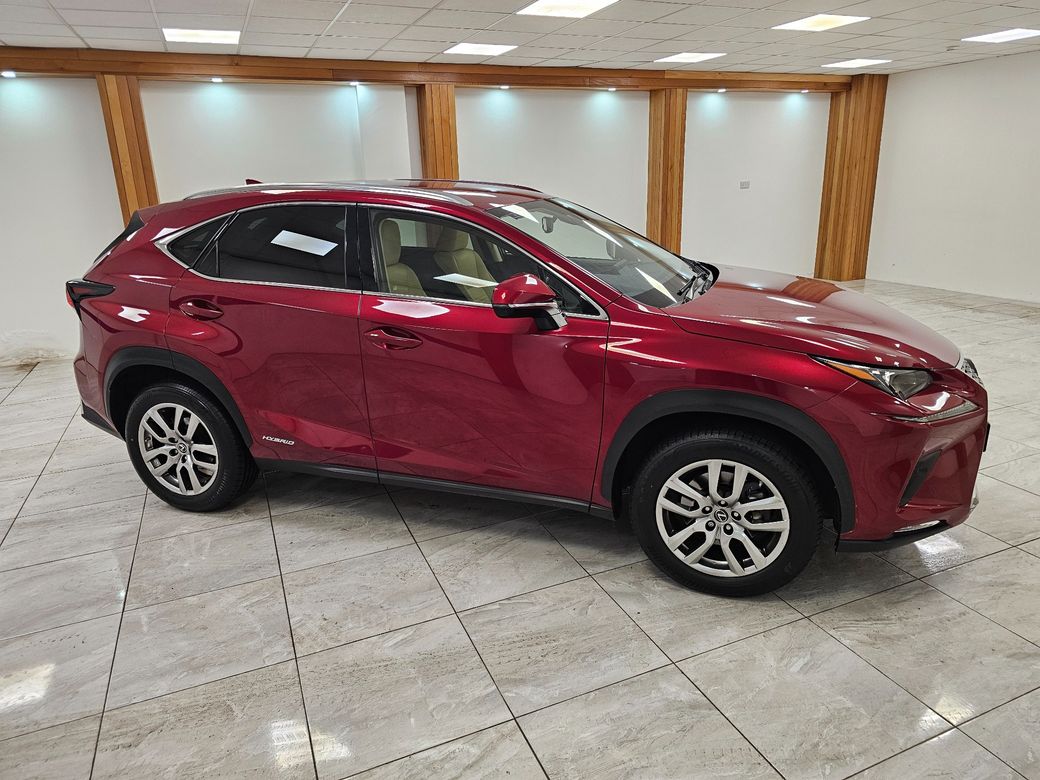 2020 Lexus NX
