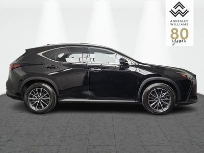 2025 Lexus NX