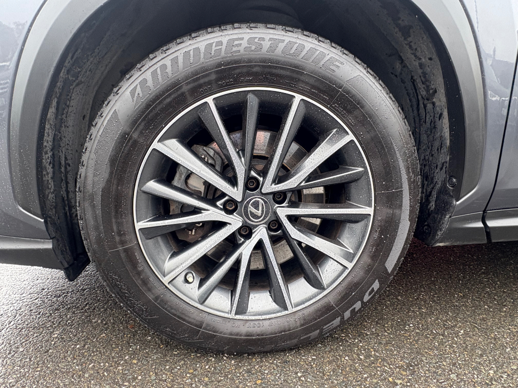 2022 Lexus NX 450H+