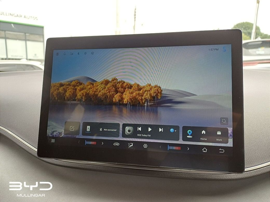 2026 BYD Dolphin Surf