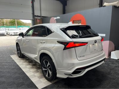 2021 Lexus NX 300h