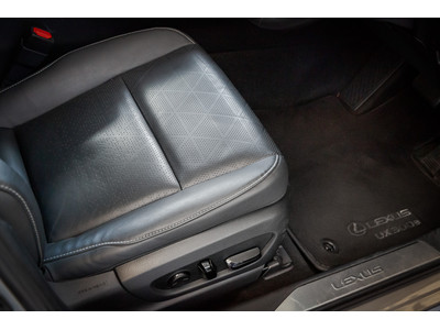 2021 Lexus UX 300e