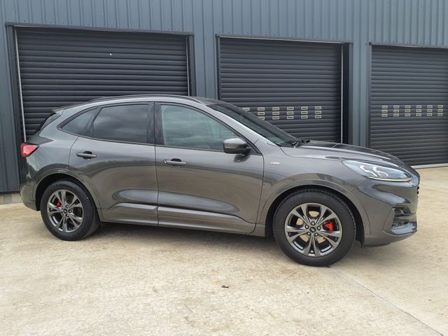 vehicle for sale from Paddy Doherty Car Sales