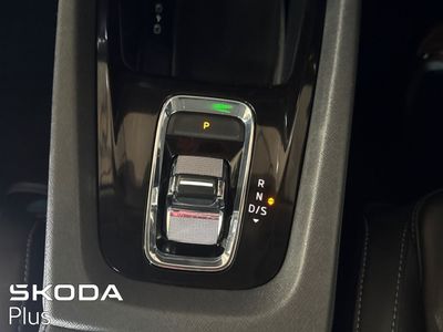 2023 Skoda Octavia
