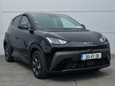 2026 BYD Dolphin Surf