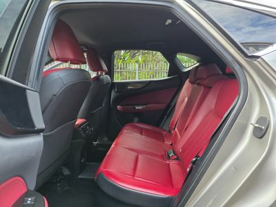 2023 Lexus NX