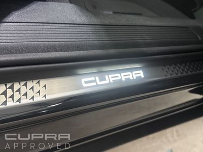 2026 Cupra Tavascan