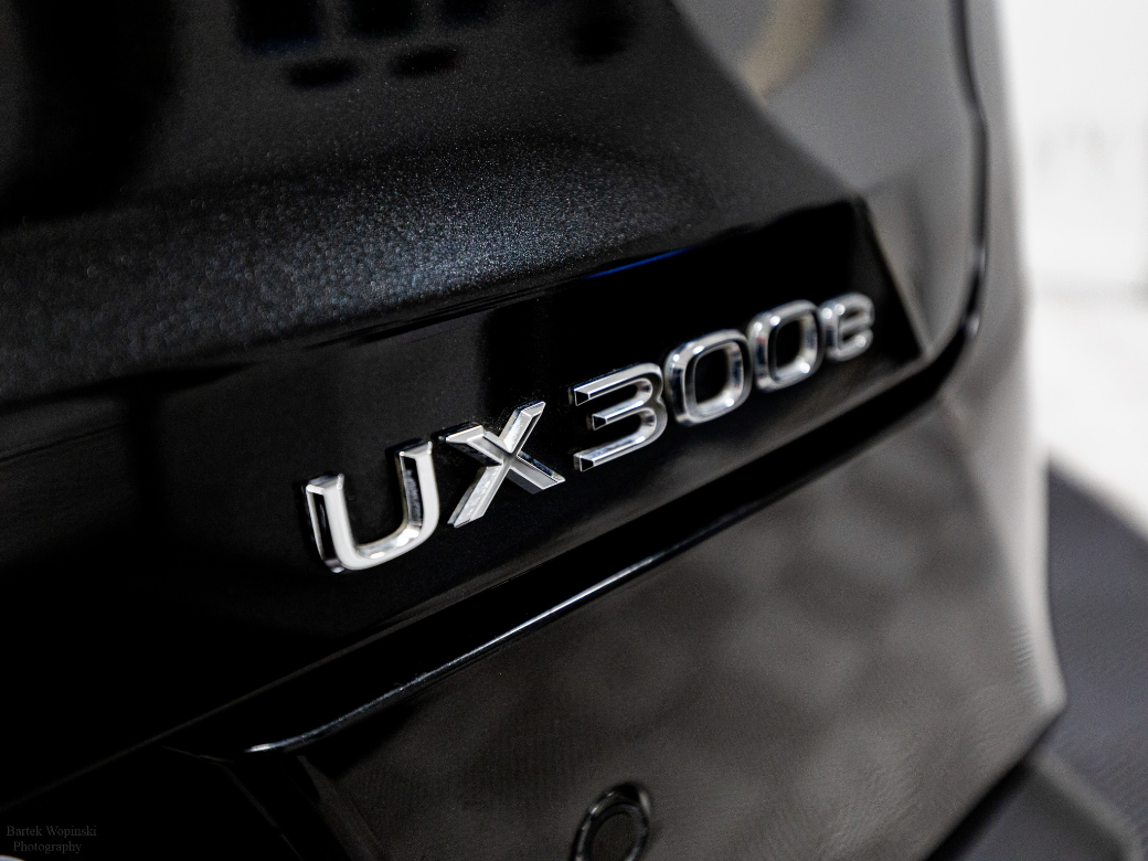 2024 Lexus UX 300e