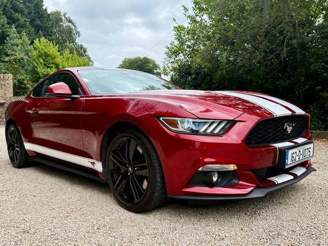 vehicle for sale from Deerpark Motor Company