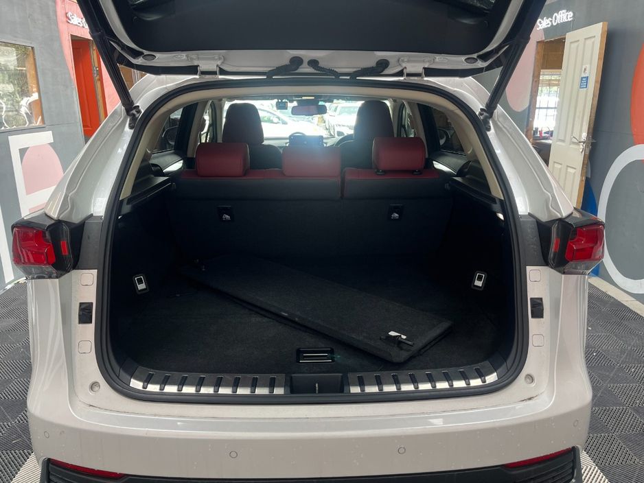 2019 Lexus NX 300h