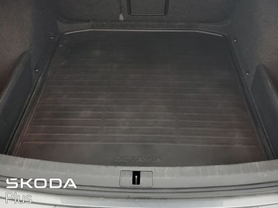 2023 Skoda Octavia