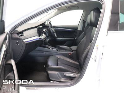 2023 Skoda Octavia