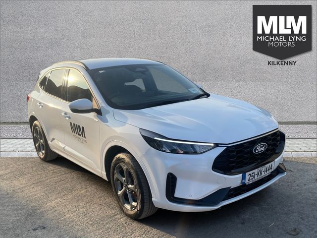 vehicle for sale from Michael Lyng Motors