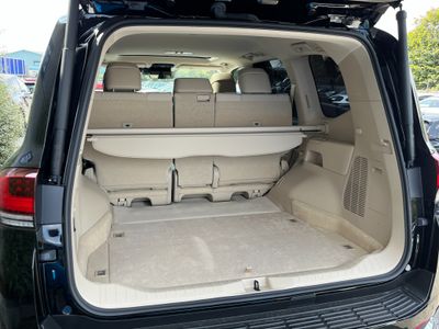 2025 Toyota Land Cruiser Amazon