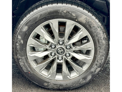 2026 Toyota Landcruiser