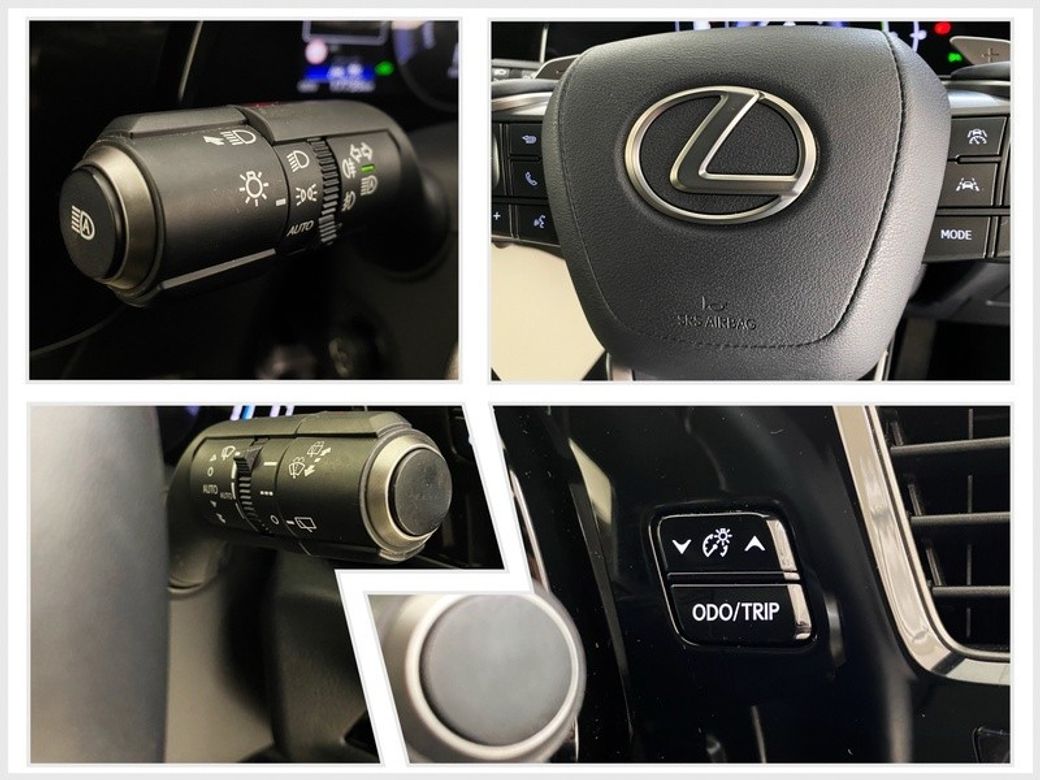 2024 Lexus NX 450H+